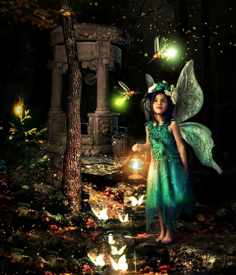 Fairy Forest