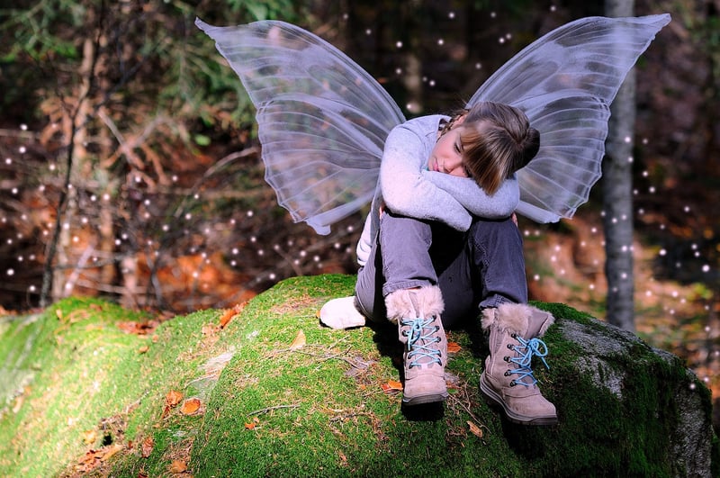 Fairy in a forest